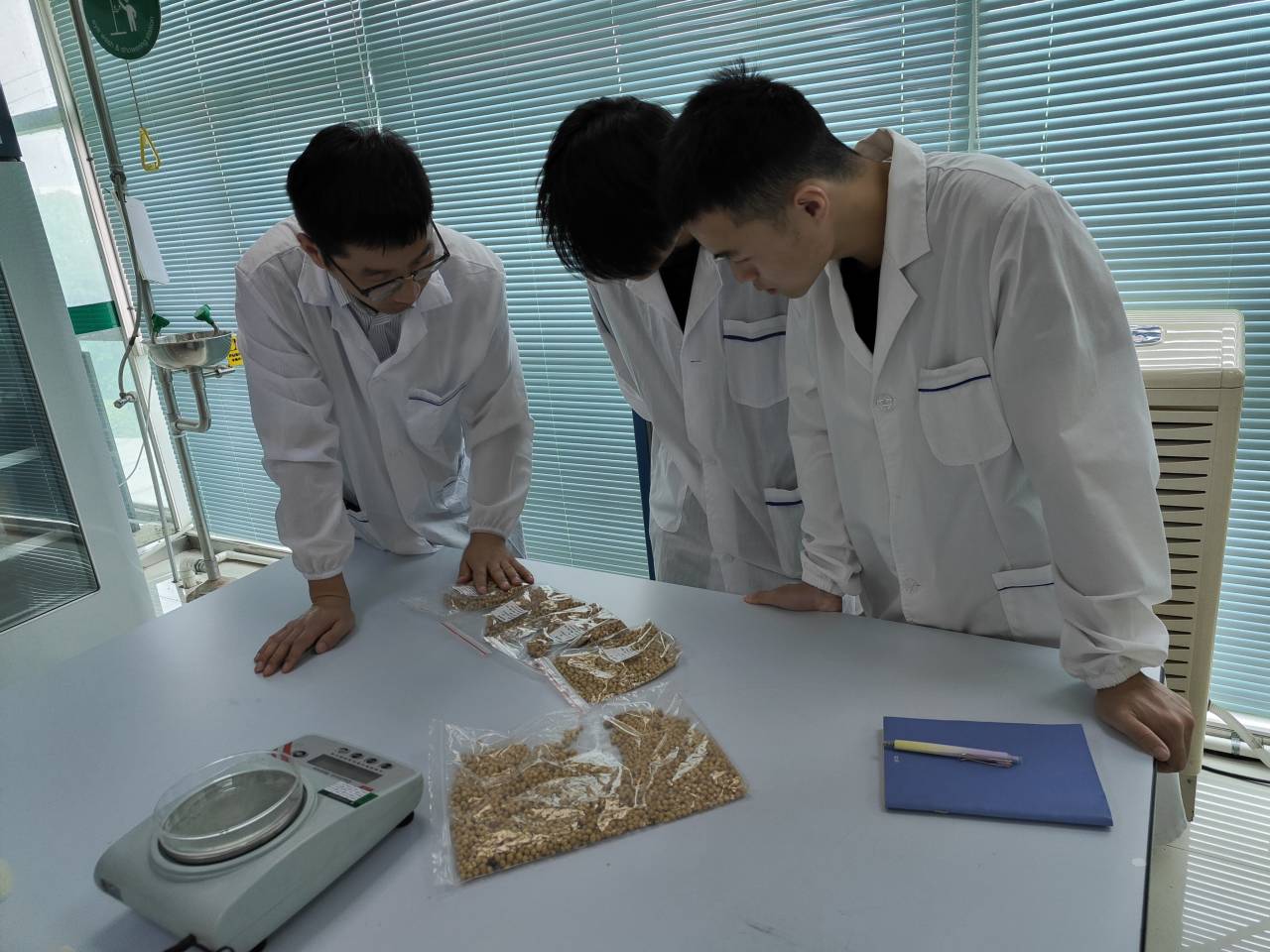 1691582193461282.jpg 1691582193461282.jpg