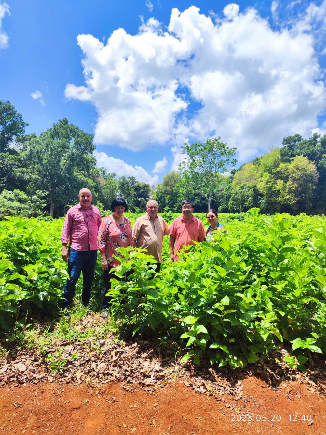 1686205086776909.jpg 图片4.jpg