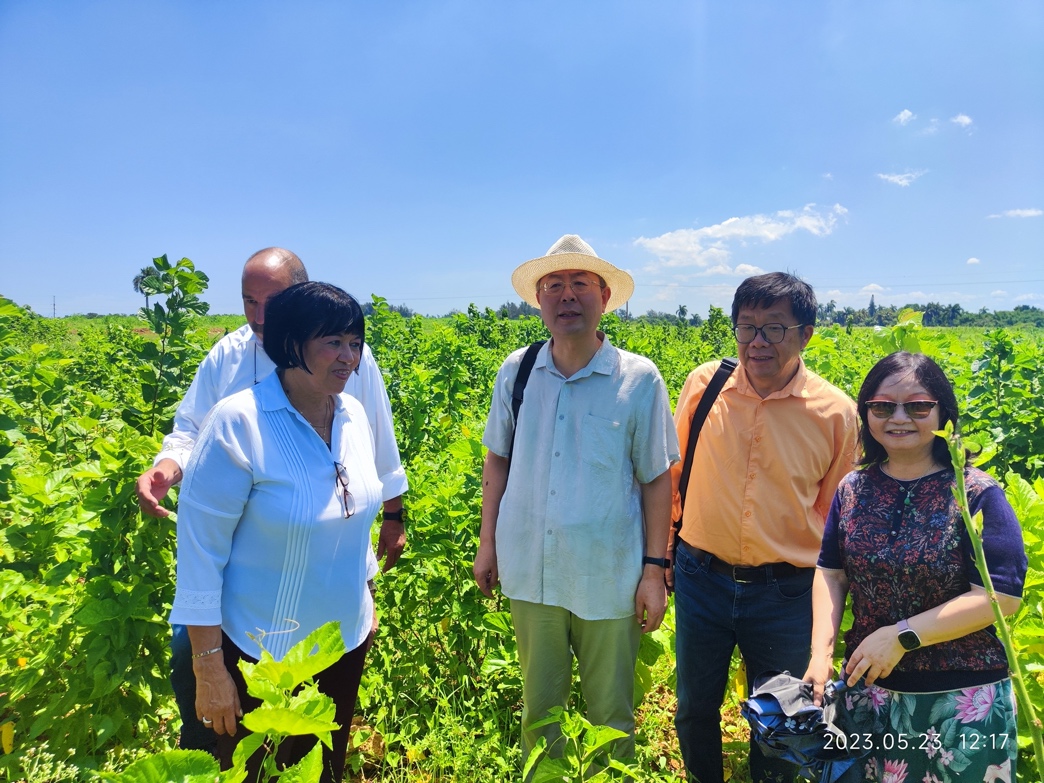 1686205277315536.jpg 图片12.jpg