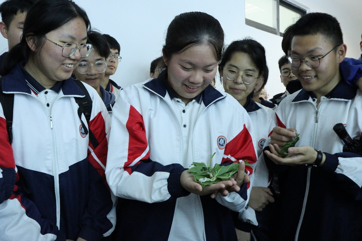 1682215088707531.jpg 4.jpg