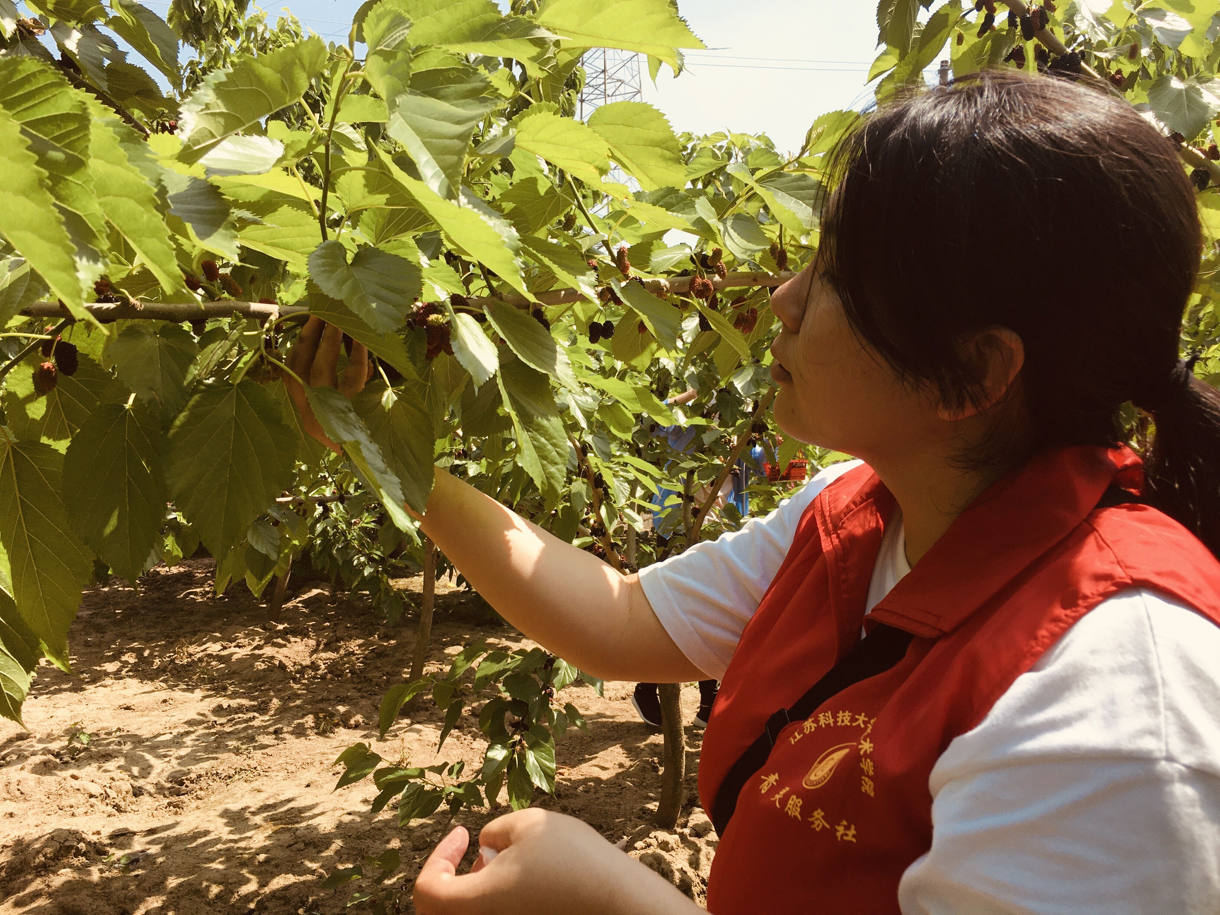 1620720809961989.jpg QQ图片20210511161313.jpg