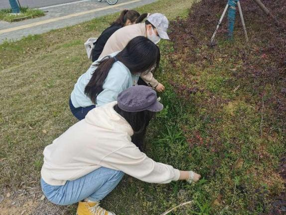 1651541898579282.png 图片 2.png