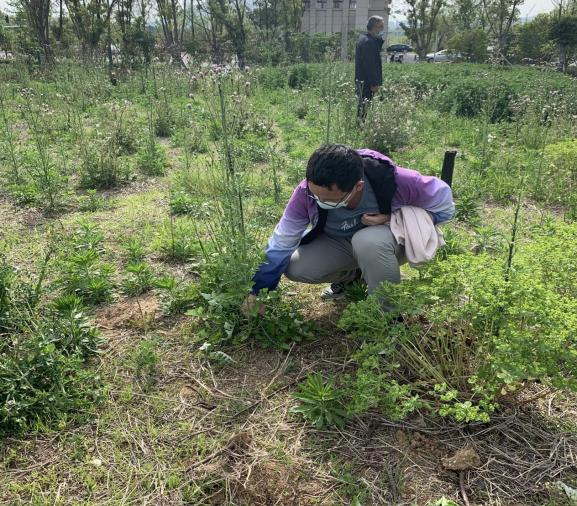 1651542043459123.png 图片 13.png