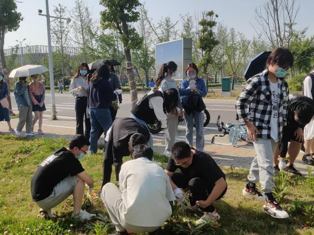 1651541986152500.png 图片 5.png