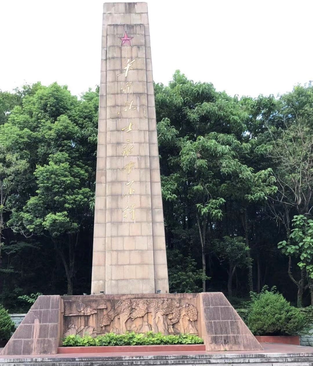 1645543551960513.jpg 1645543551960513.jpg