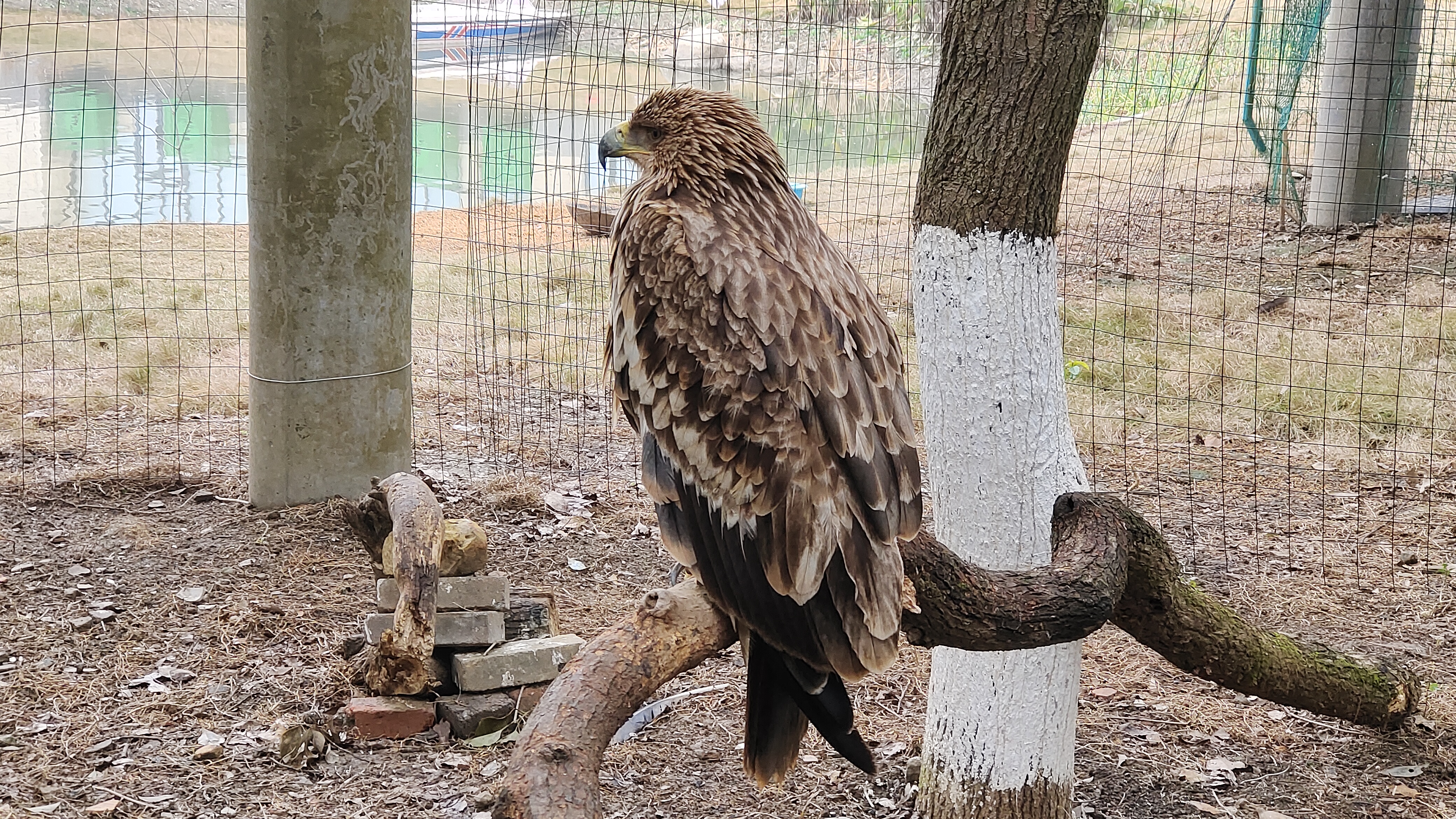 1643373837632035.jpg QQ图片20220128203921.jpg