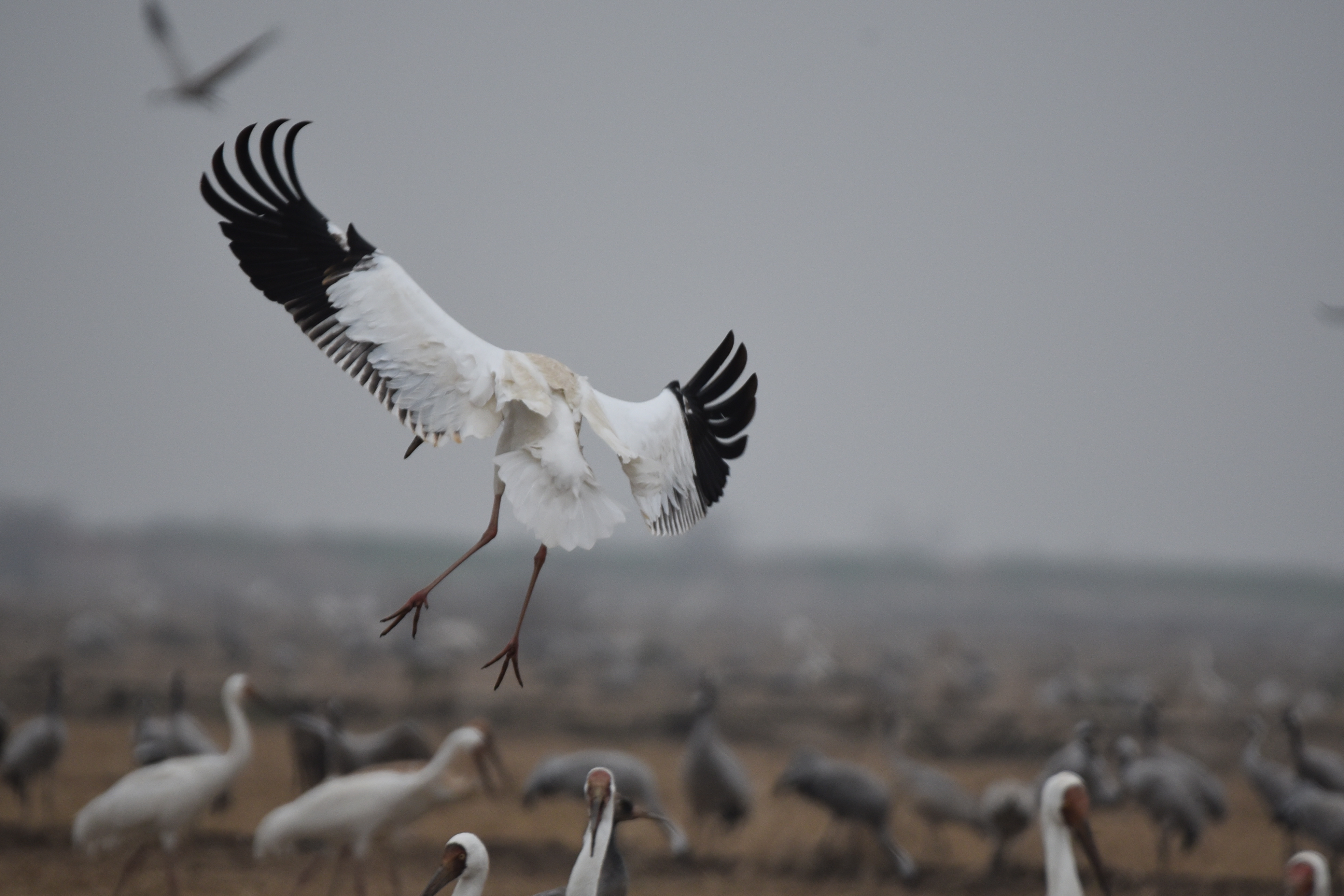 1643373674927228.jpg QQ图片20220128203935.jpg