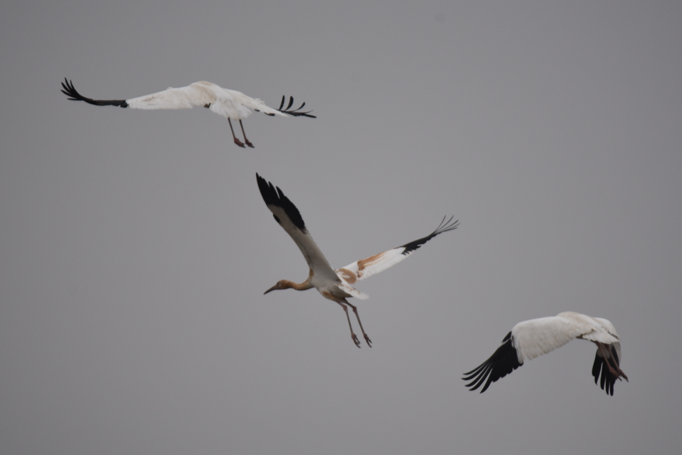 1643374538485539.png QQ截图20220128204602.png