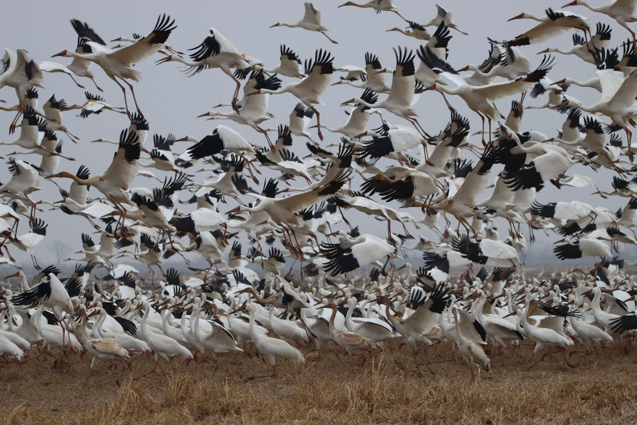 1643372301670664.png 图片3.png