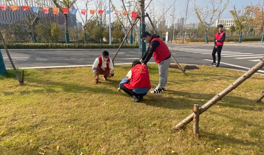 1637754928402058.png 图片1.png