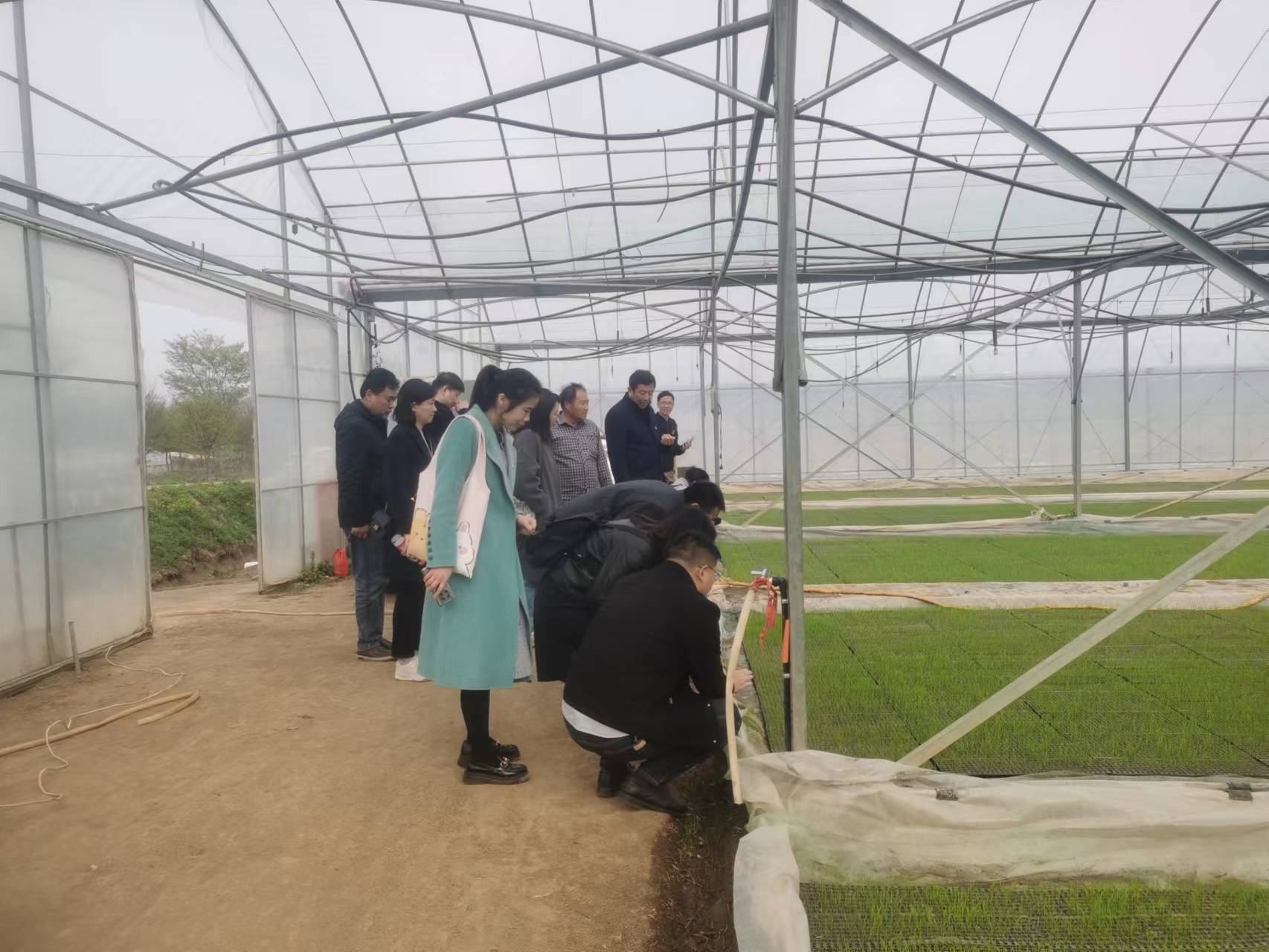 1680224702681786.jpg 2.jpg