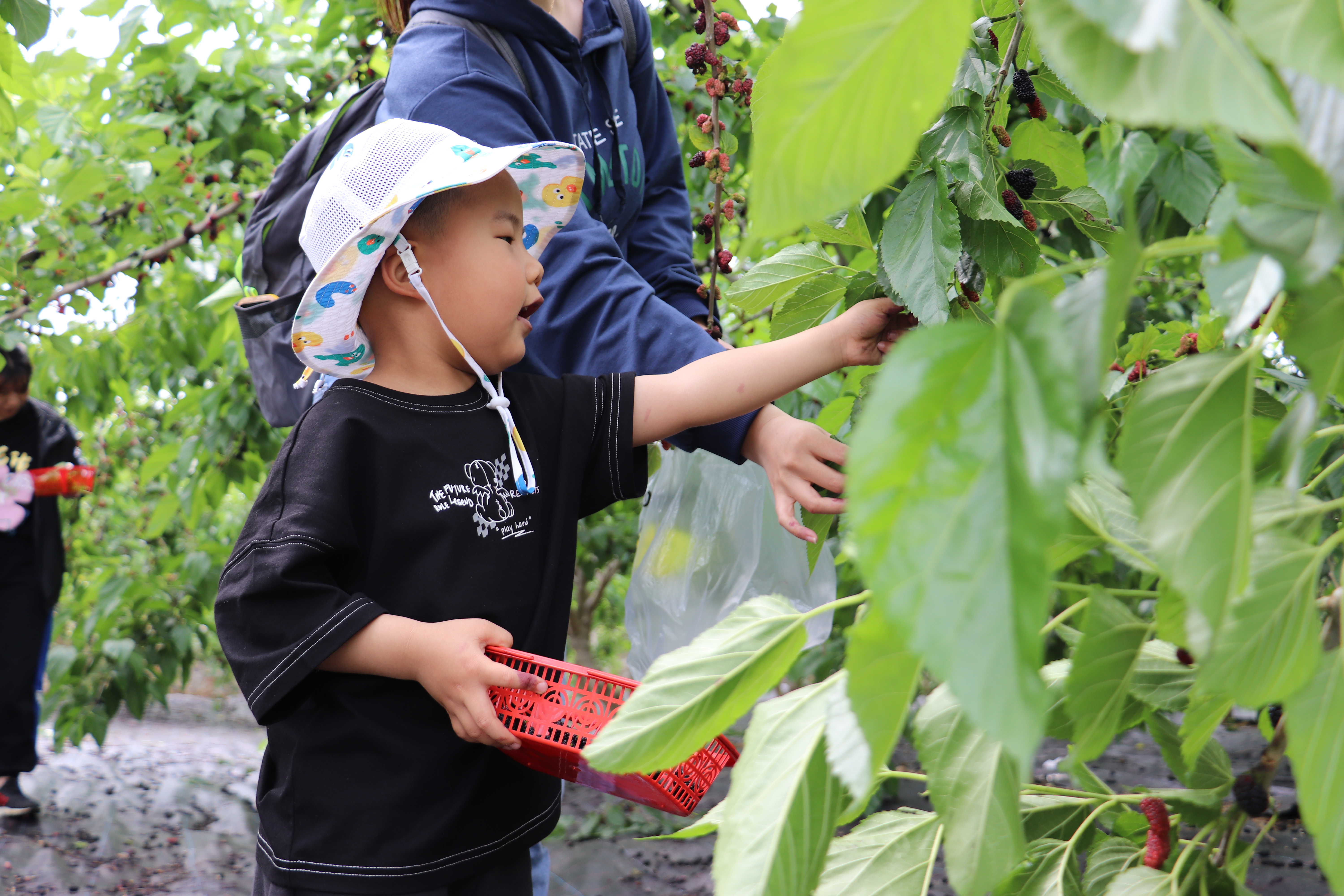 1652771811524063.jpg IMG_9582.JPG