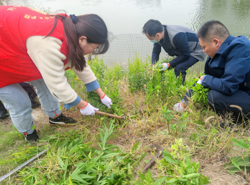 1638020231229797.png 图片4.png