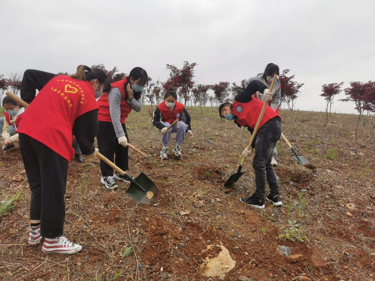 1651310211735417.png 图片 2.png