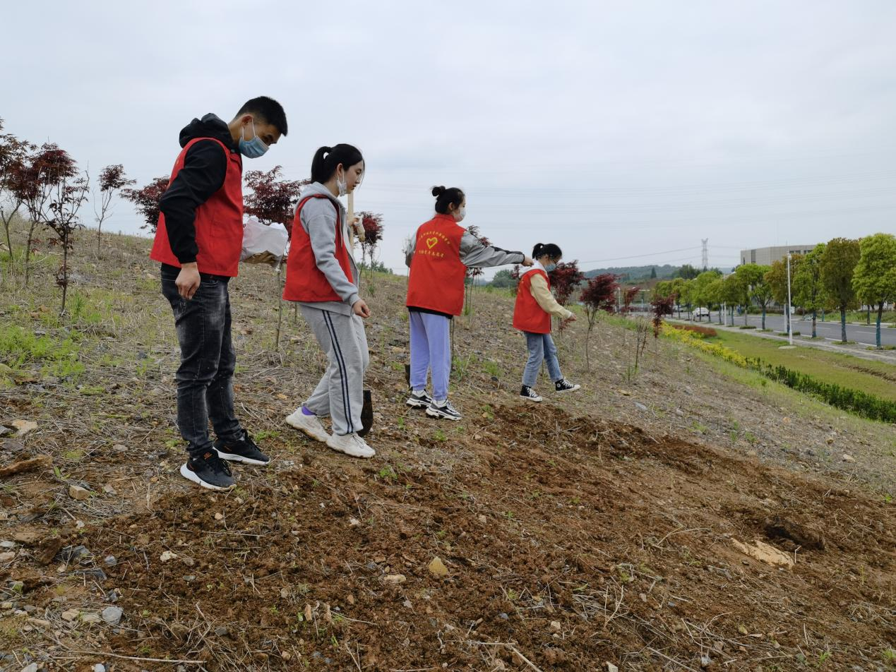 1651310231243237.png 图片 1.png