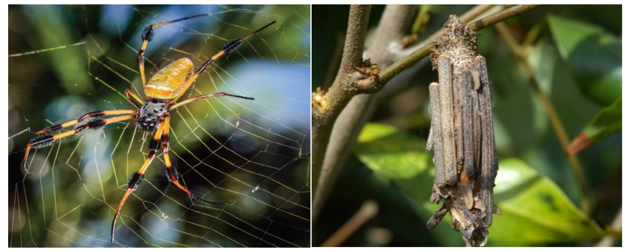 1712196609405077.png QQ图片20240404100612.png