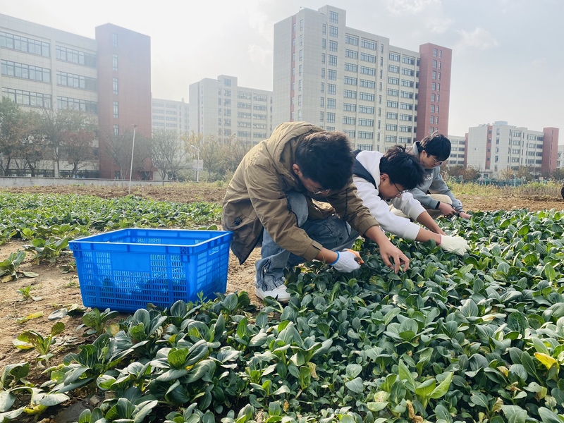 1700450823648609.jpg 2-1.jpg