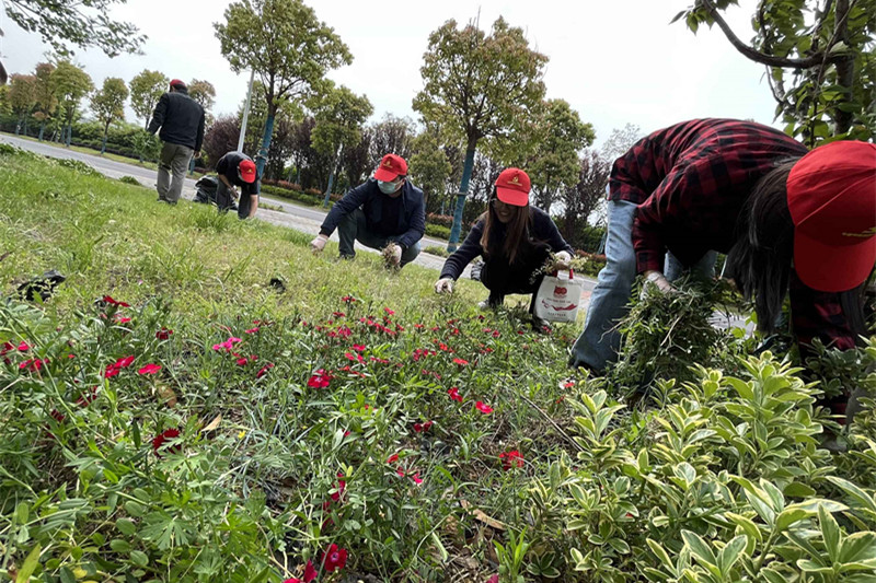 1650525407311010.jpg 1650525407311010.jpg