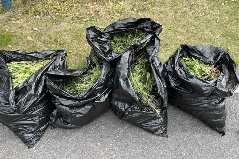 1650525407174275.jpg 1650525407174275.jpg