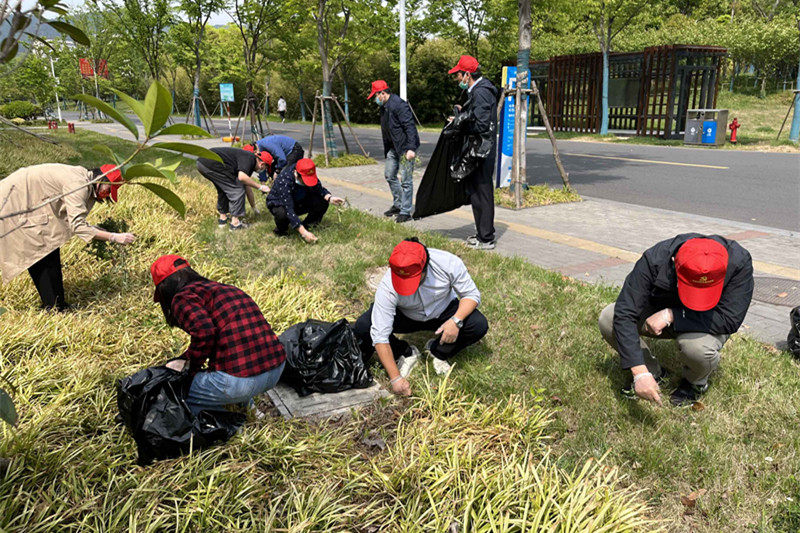 1650525406442230.jpg 1650525406442230.jpg