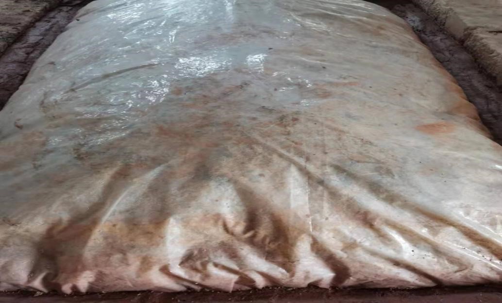 1630036699294946.jpg 图为窖内发酵的过程.jpg