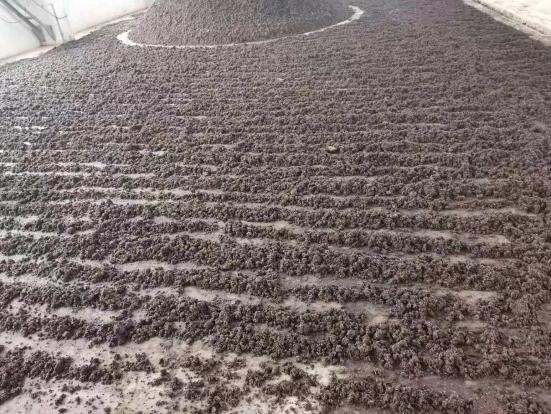 1630036660684467.jpg 图为摊凉的过程2.jpg